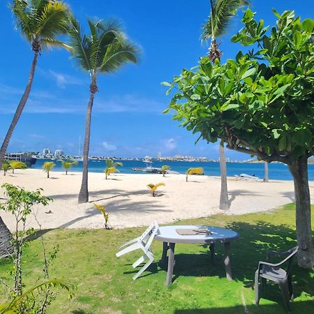 The Palm - Studio On The Beach Baie Nettle Екстер'єр фото